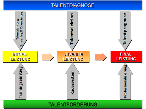 Grafik Talentdiagnose
